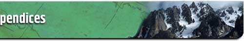Appendices Banner
