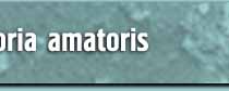 Gloria Amatoris Banner